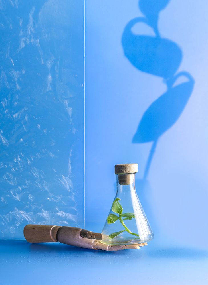 Photograph by Margarita