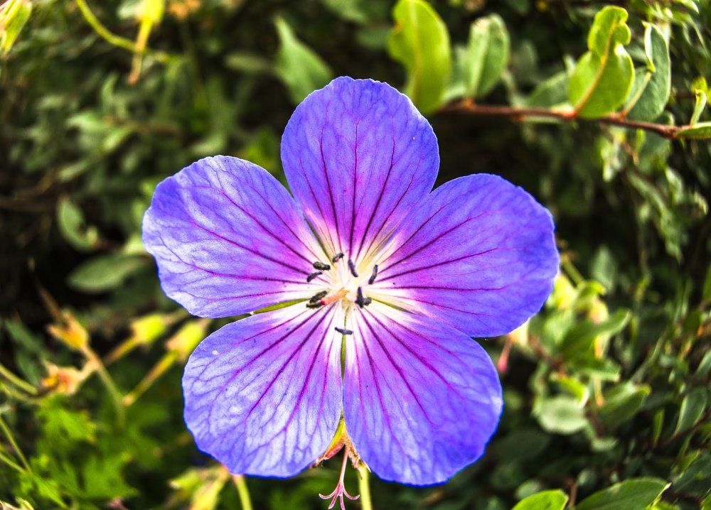 Photograph by Ranjith Kumar