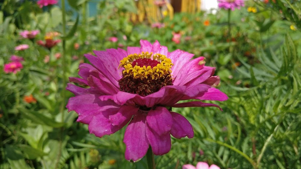 Photograph by Ranjith Kumar