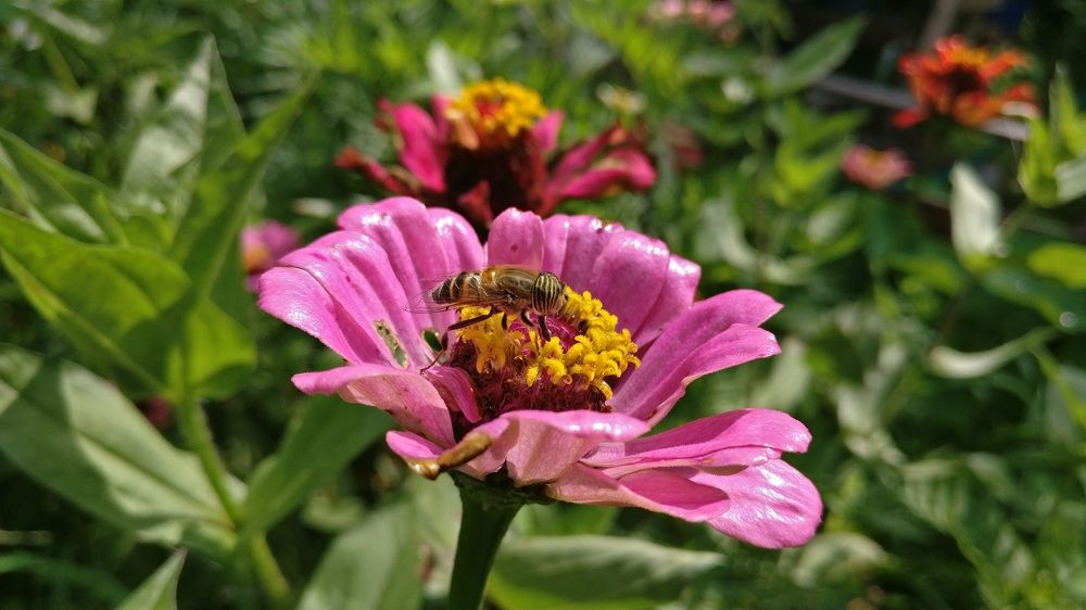 Photograph by Ranjith Kumar