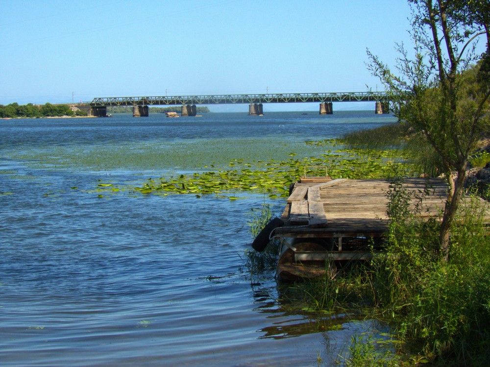 Фотография автора Елена Соловьева