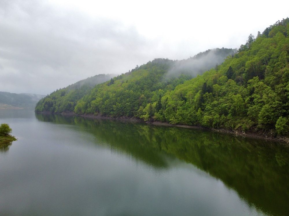 Фотография автора Елена Меньшикова