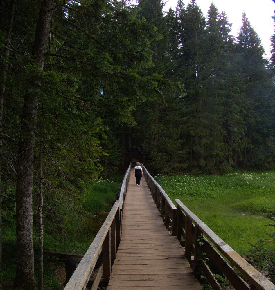 Фотография автора Елена Соловьева