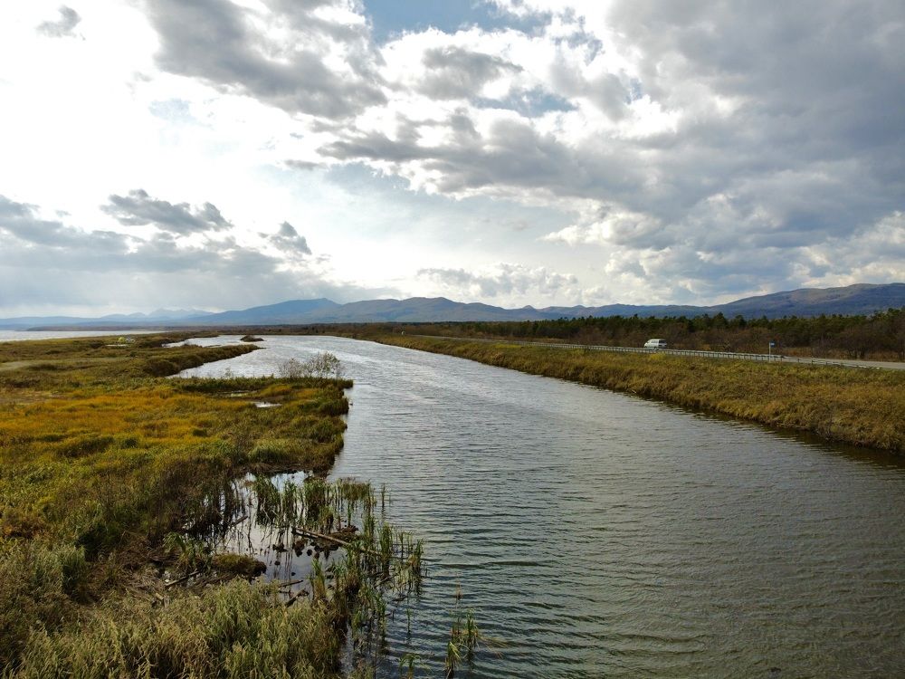 Фотография автора Елена Меньшикова