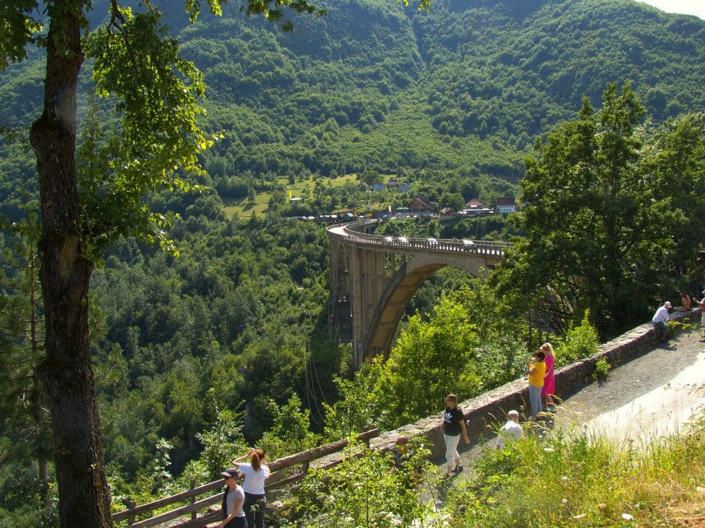 Фотография автора Елена Соловьева