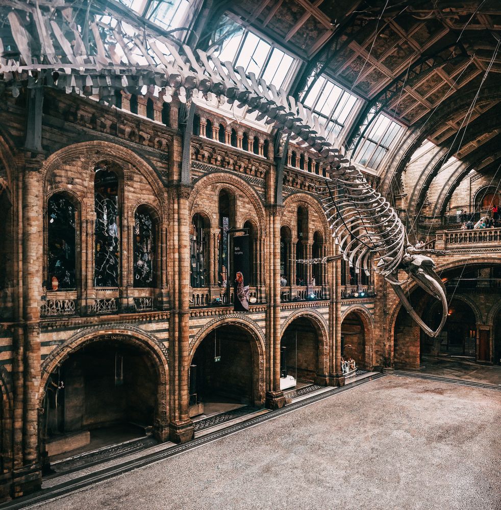 Photograph by Анна Федотова