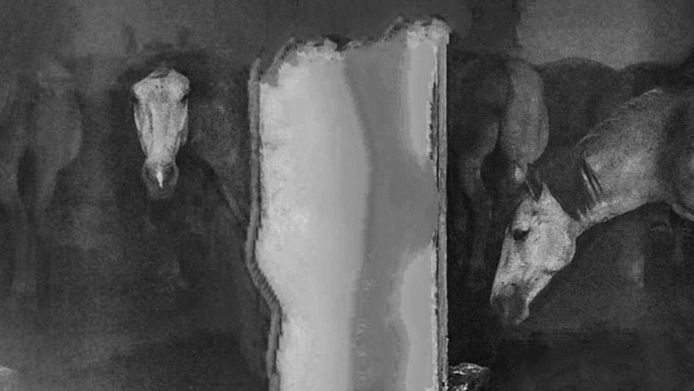 Photograph by Selina Marina