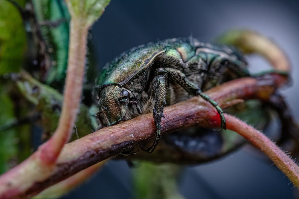 Photograph by Konstantin Shiryaev