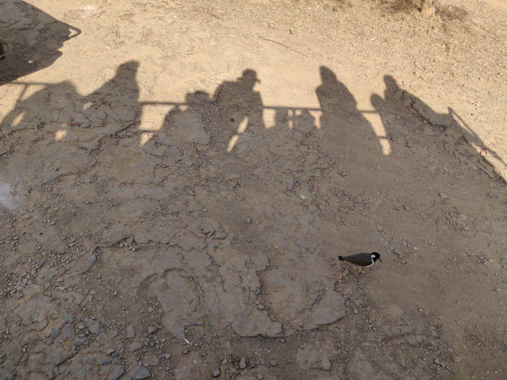 Photograph by Ranjith Kumar