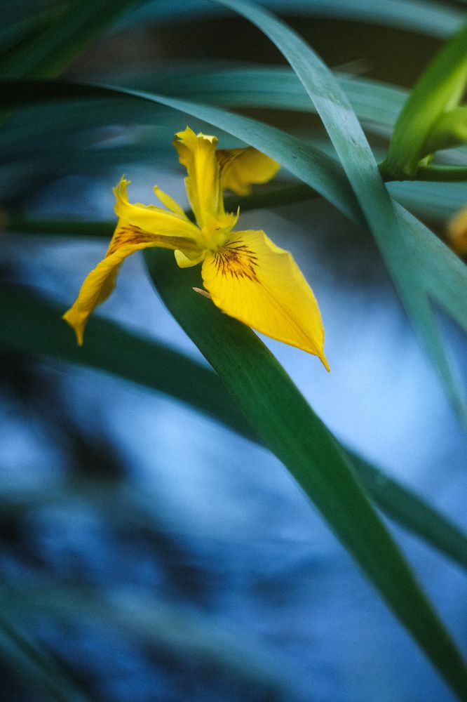 Photograph by Маруся Арбуа