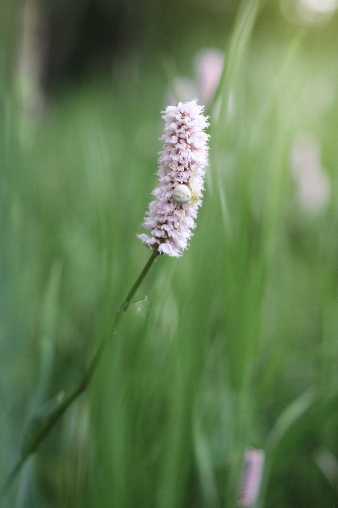 Photograph by Маруся Арбуа