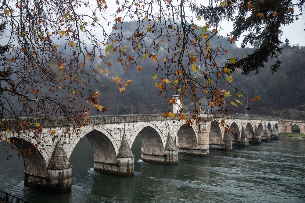 Photograph by Татьяна Алексеева