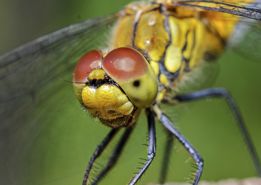 Фотография автора Юрий