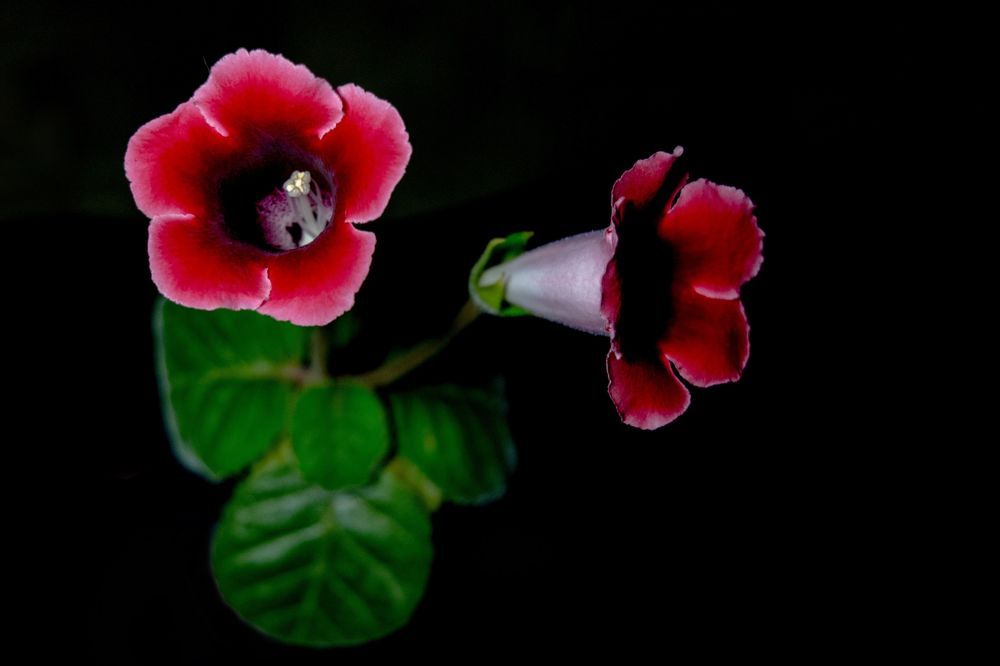 Photograph by Анастасия Занадворова