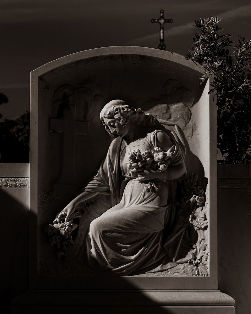 Фотография автора Mohamed Safwat