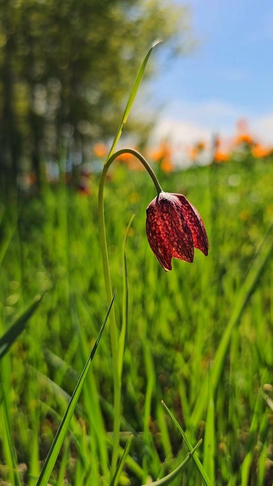 Photograph by Ольга Веселова
