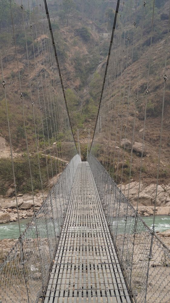 Photograph by Seyed-Sajad Hamedheydari