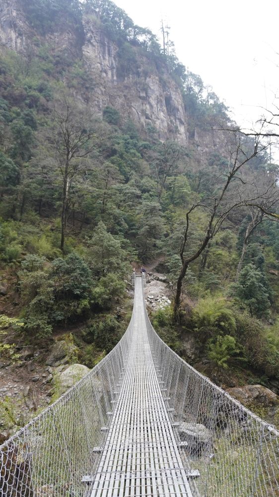 Photograph by Seyed-Sajad Hamedheydari