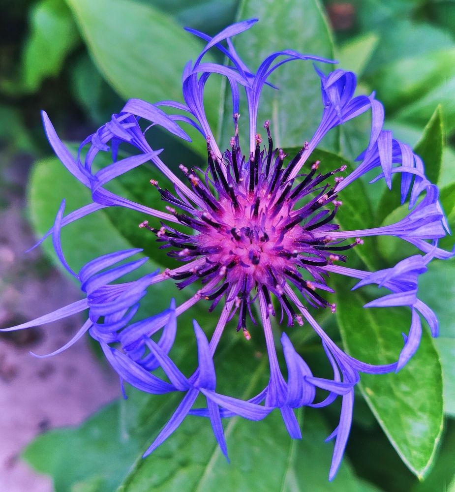 Photograph by Olena Chertous