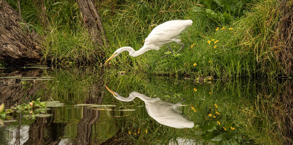 Photograph by Marcos Levy