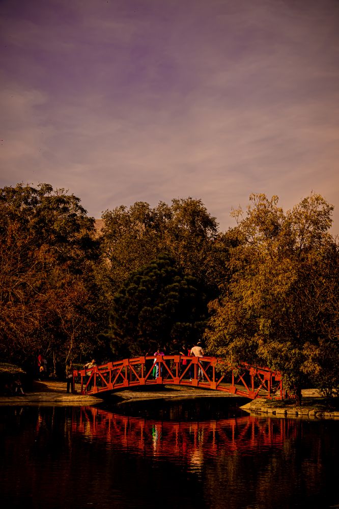 Photograph by Romina Moniri