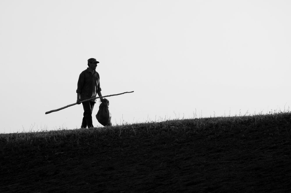 Photograph by Кирилл Савенко