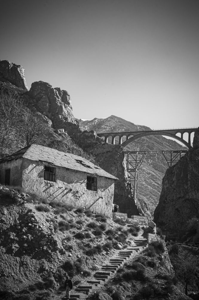 Photograph by Romina Moniri