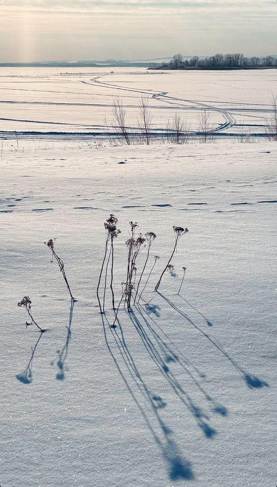 Photograph by Александра Дмитриевская