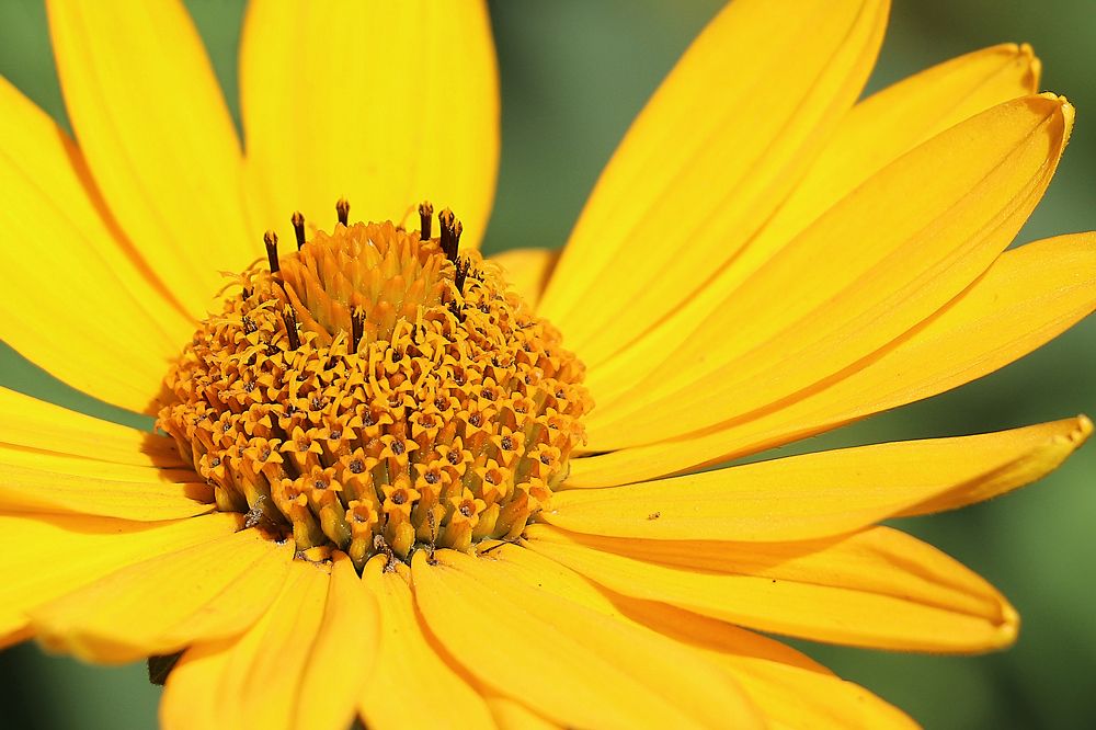 Photograph by Татьяна Елькина