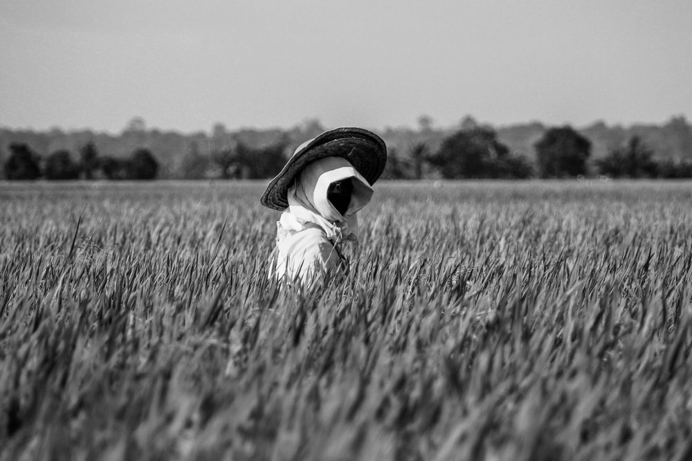 Photograph by Wai Leong Yap