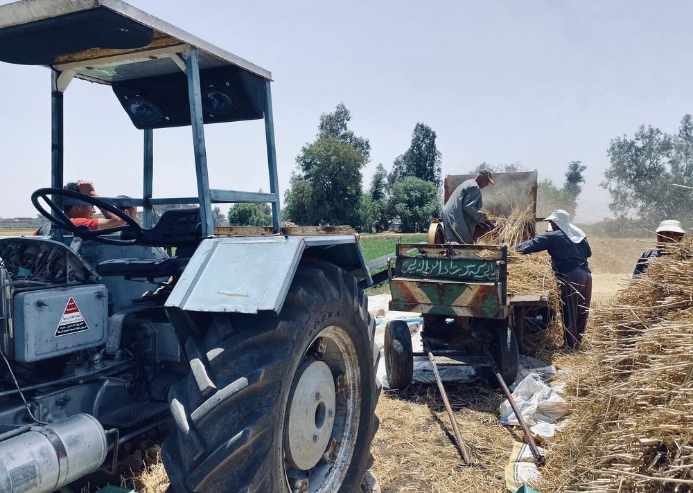 Photograph by sohila abdelaziz