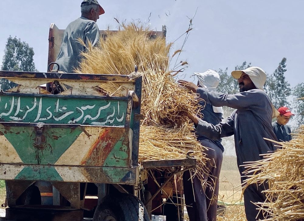 Photograph by sohila abdelaziz