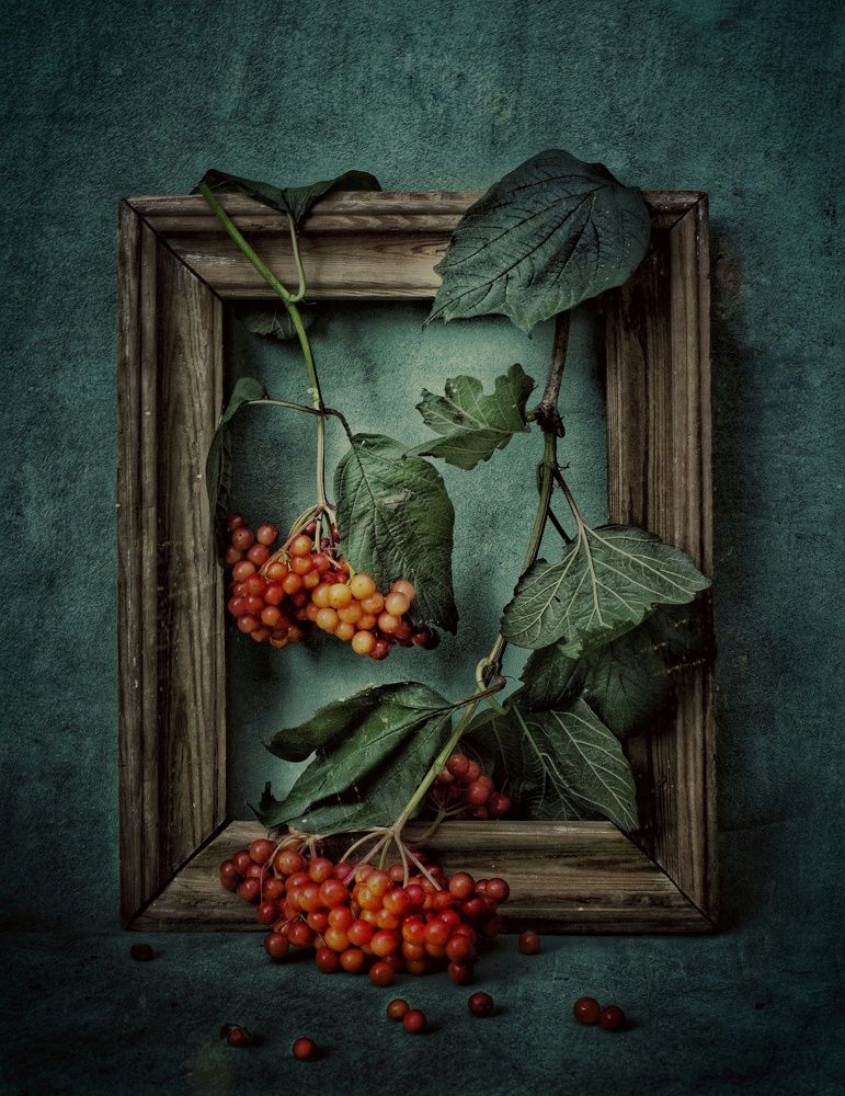 Photograph by Шабышева Антонина Михайловна