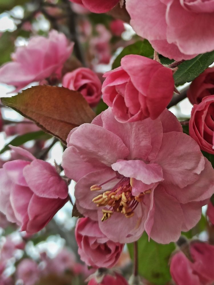 Photograph by Новикова Елена Сергеевна