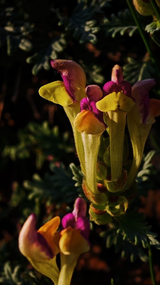 Photograph by Анна Курлова