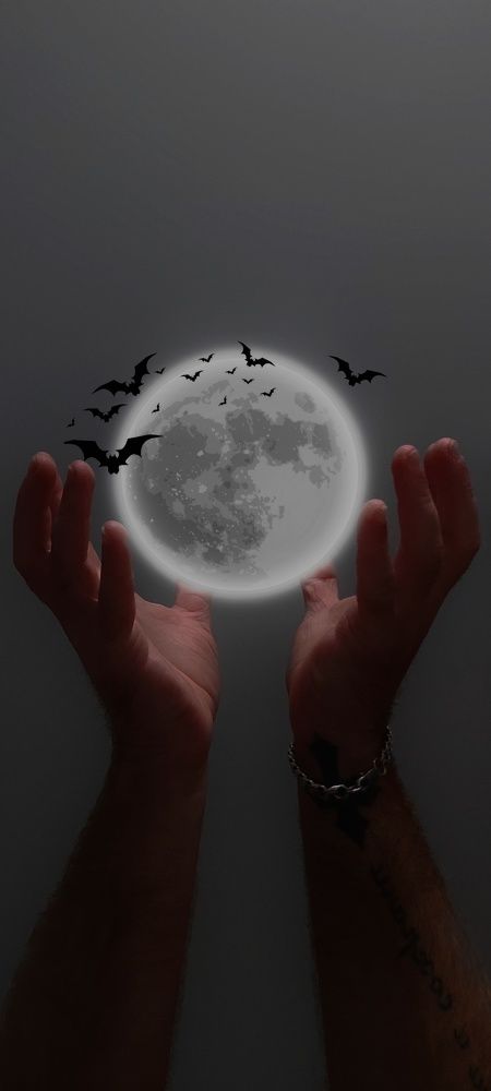 Photograph by Konstantin Martynov