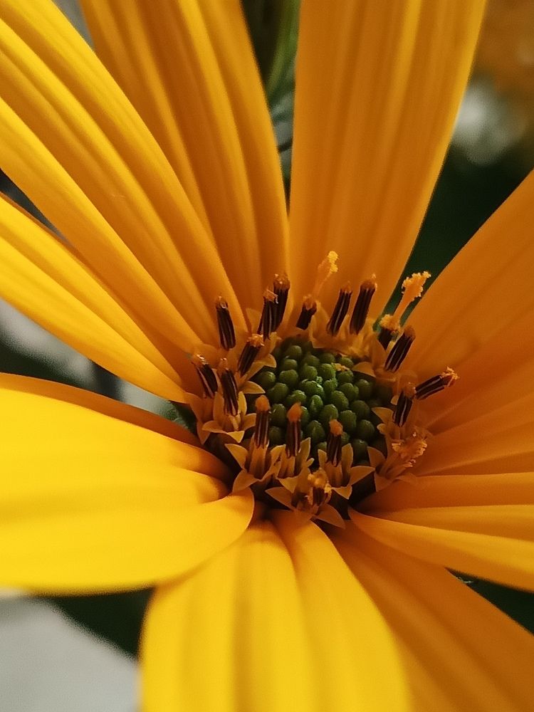 Photograph by Галина Смирнова