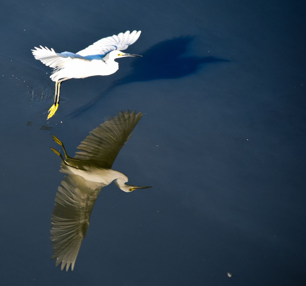 Фотография автора fabio chiari