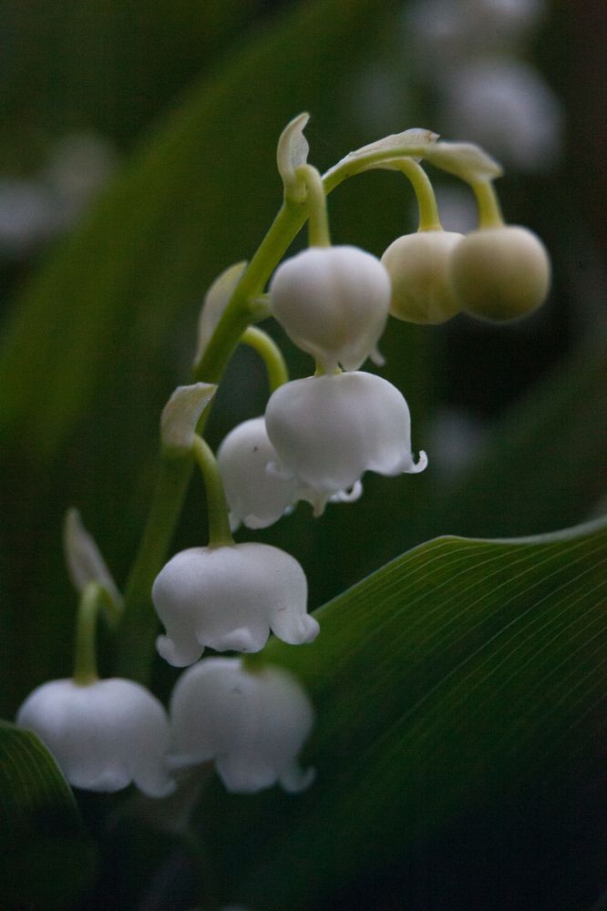 Photograph by Иван Левин