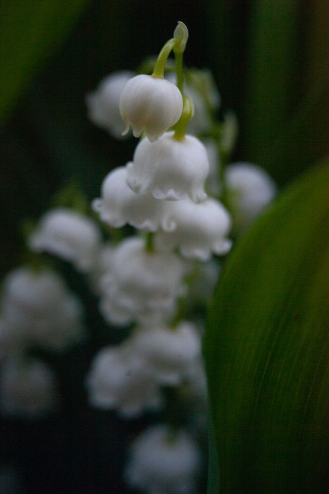 Photograph by Иван Левин