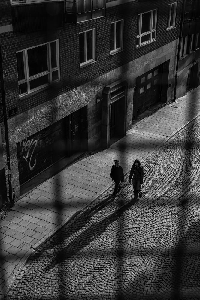 Photograph by Nikolay Surovtsev