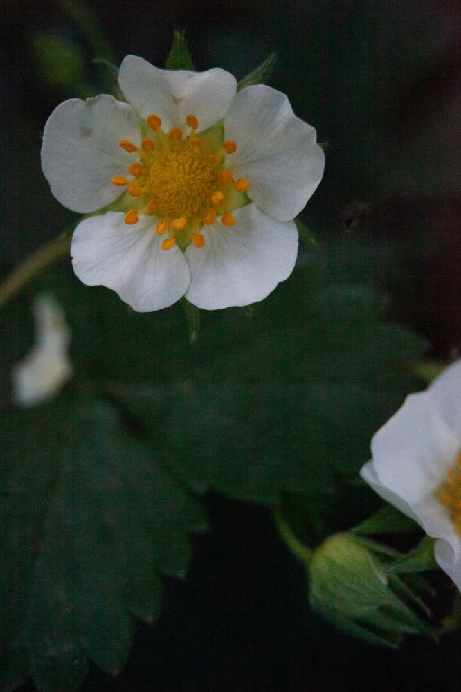 Photograph by Иван Левин