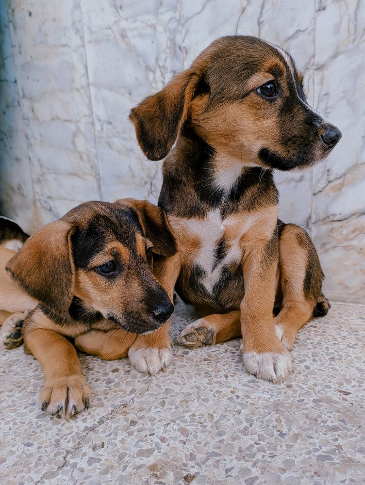 Photograph by Oscar Curo