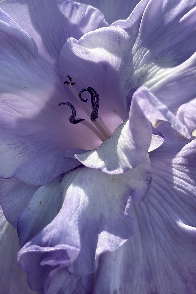 Photograph by Евгения Казакова