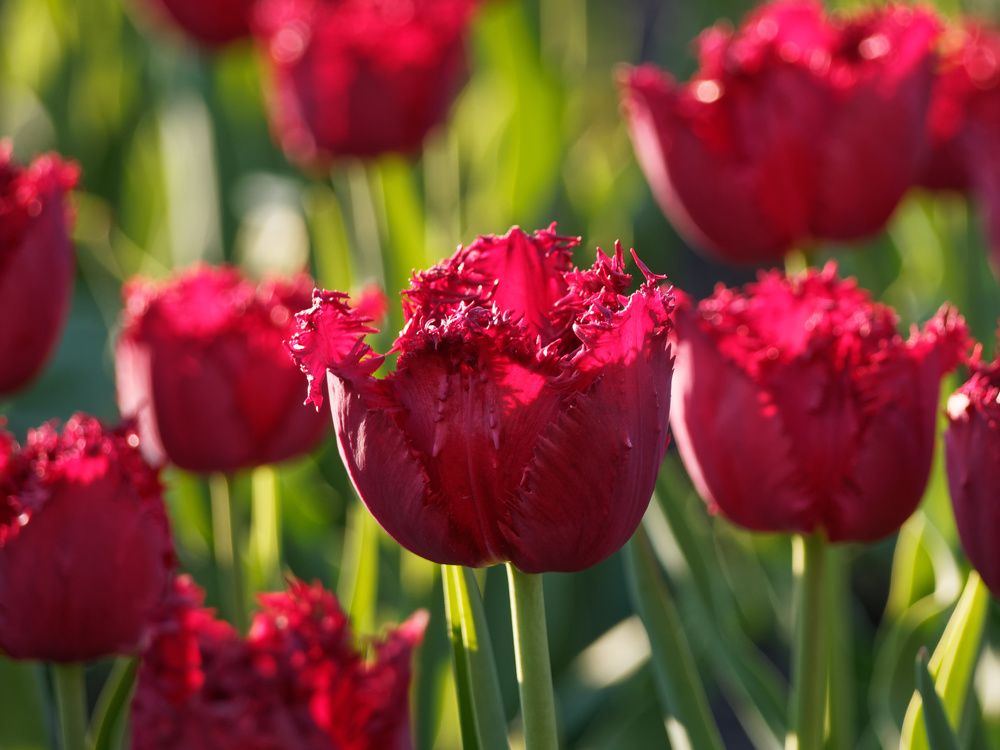 Photograph by Андрей Панин