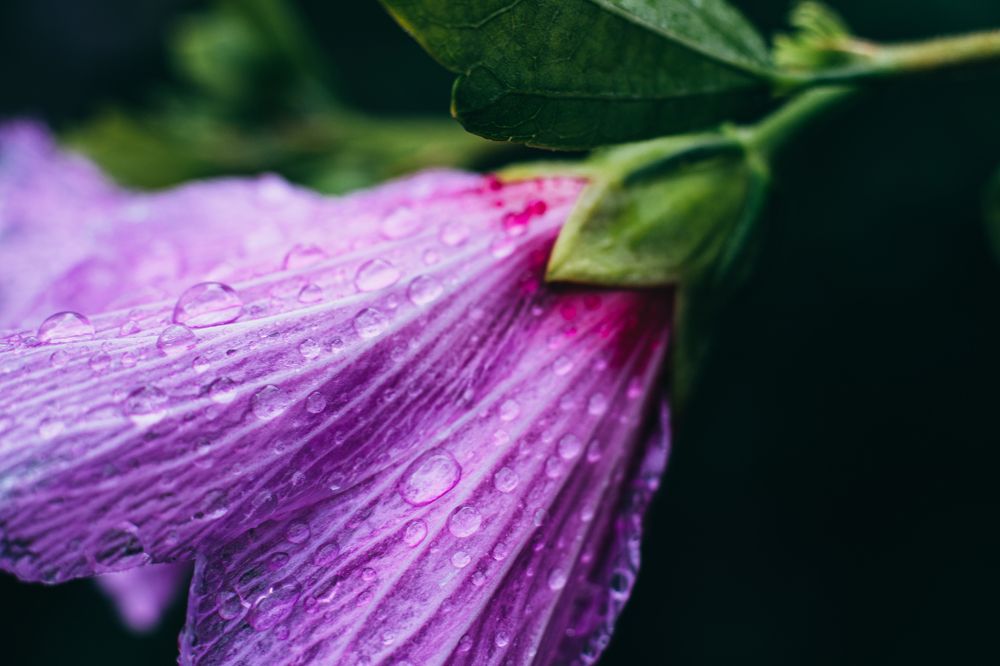 После дождя