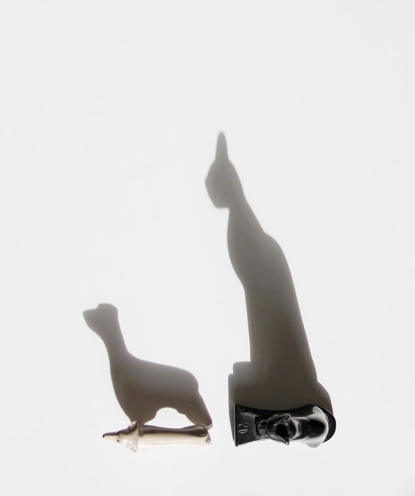 Photograph by Александра Шереметьева