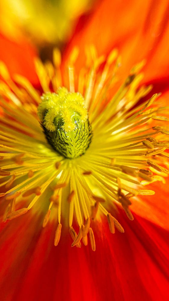 Photograph by Anna Cherkasova