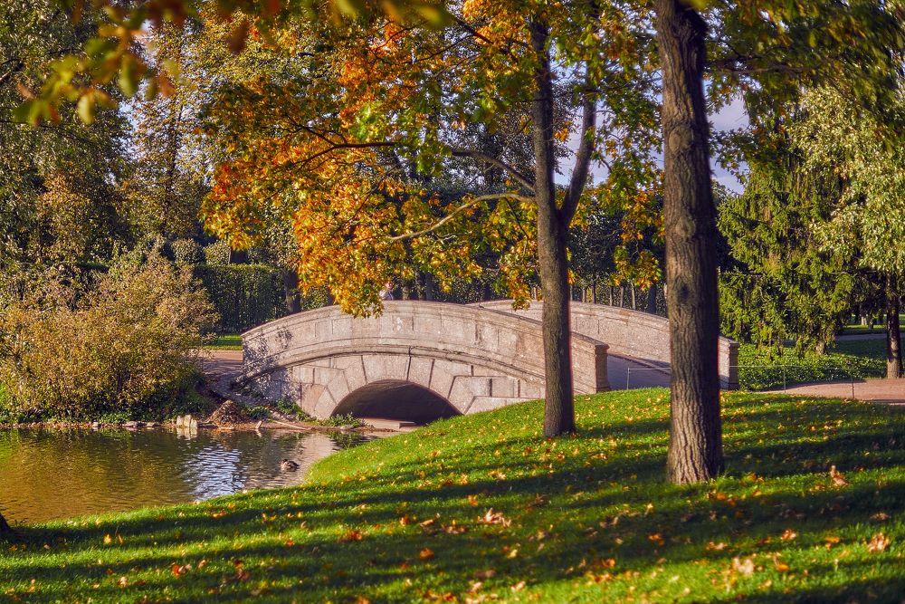 Photograph by Устинов Андрей