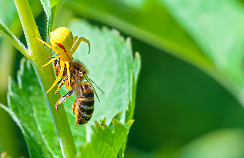 Photograph by Виталий Слёзка